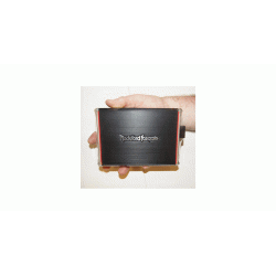 Rockford Fosgate Bilforsterker 1x300W