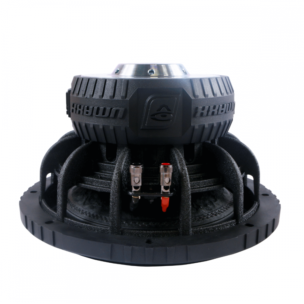 Cervin Vega VMAX10D2